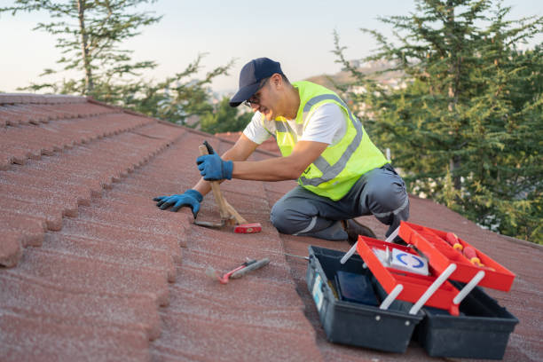 Best Emergency Roof Repair  in Bradley, WV